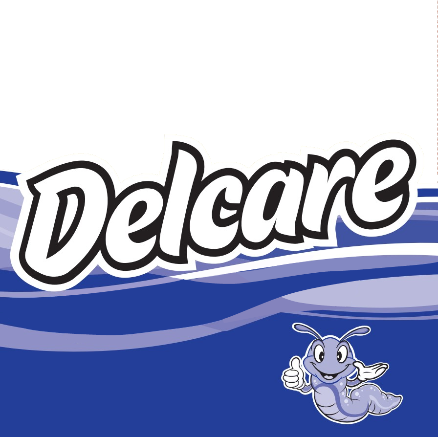 Delcare 2 Pliegos